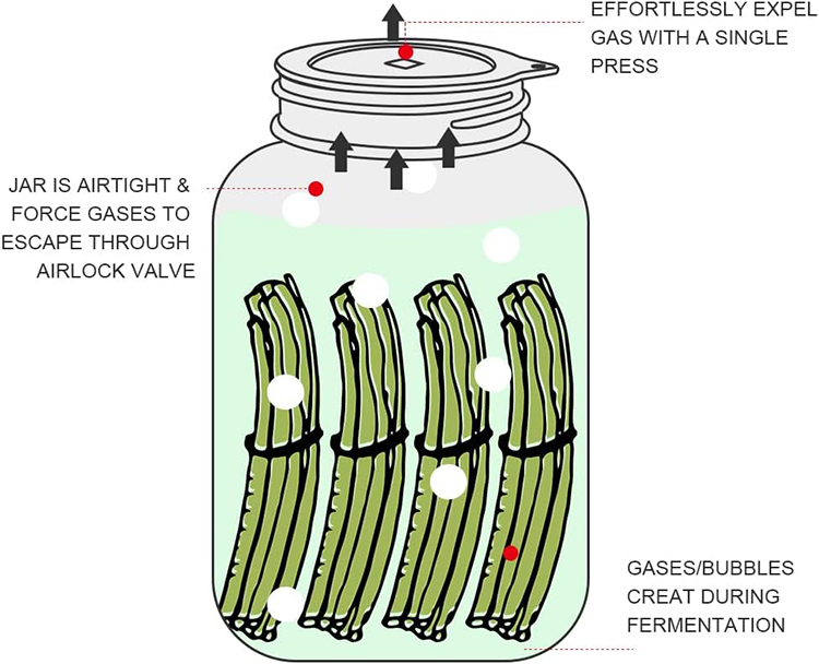 Waterless Airlock Fermentation Lids